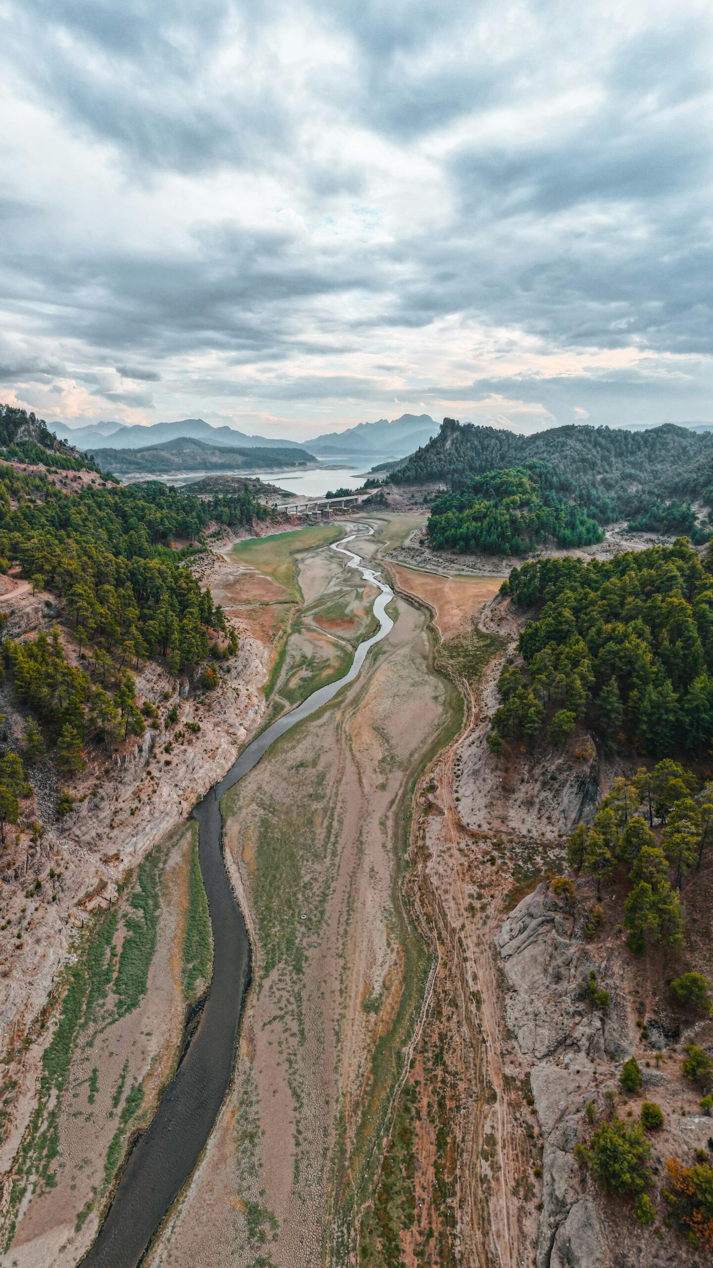 איך יובש משפיע על נופים ועל מערכות אקולוגיות בישראל: לחץ, חוסן ושימור טבע
