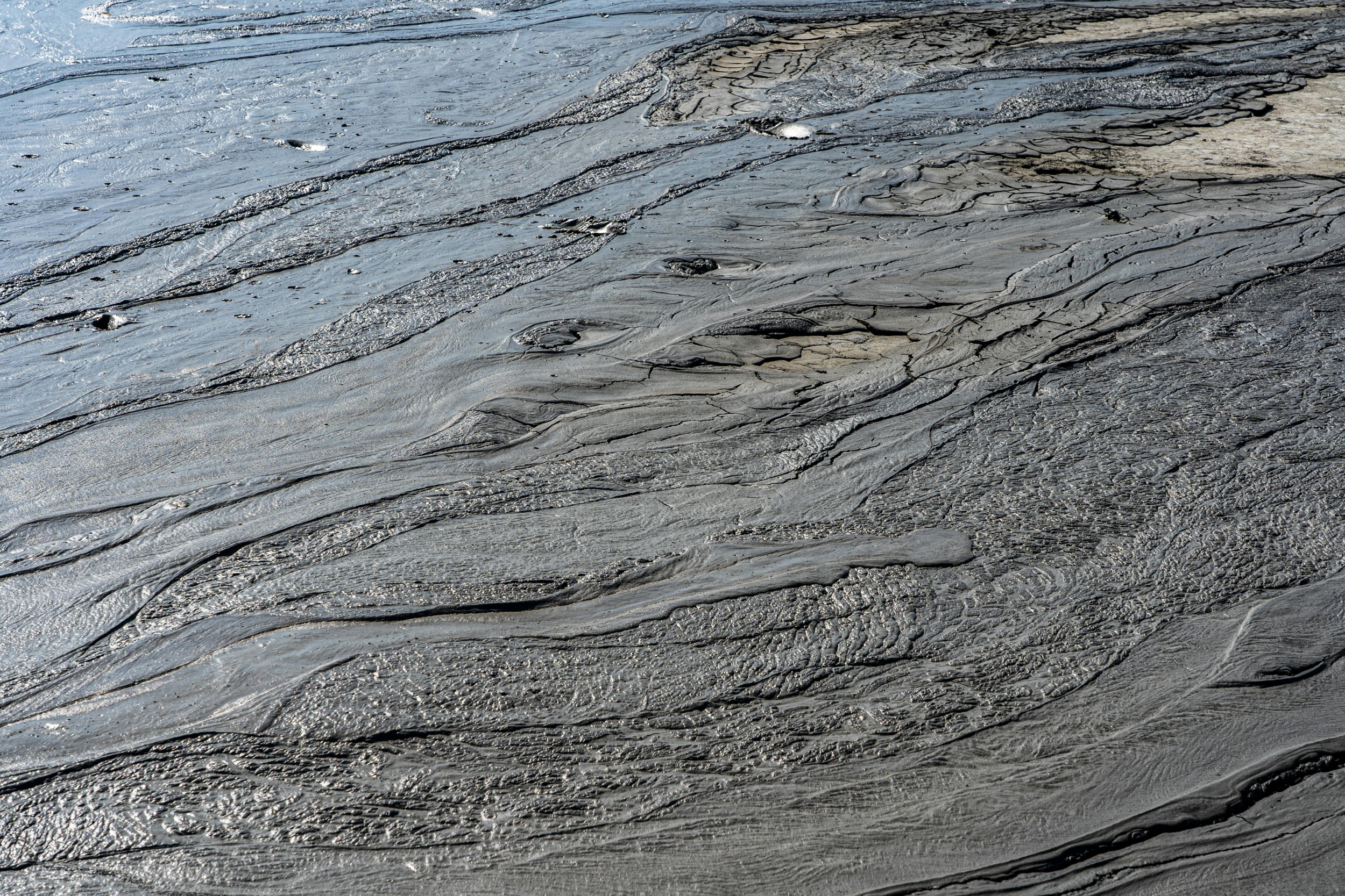 איך להגן על הבית מרעידות של עדרי בוץ: אזהרות, צמחייה ורתיחה מול גירוי, להרות וזרמי סחף