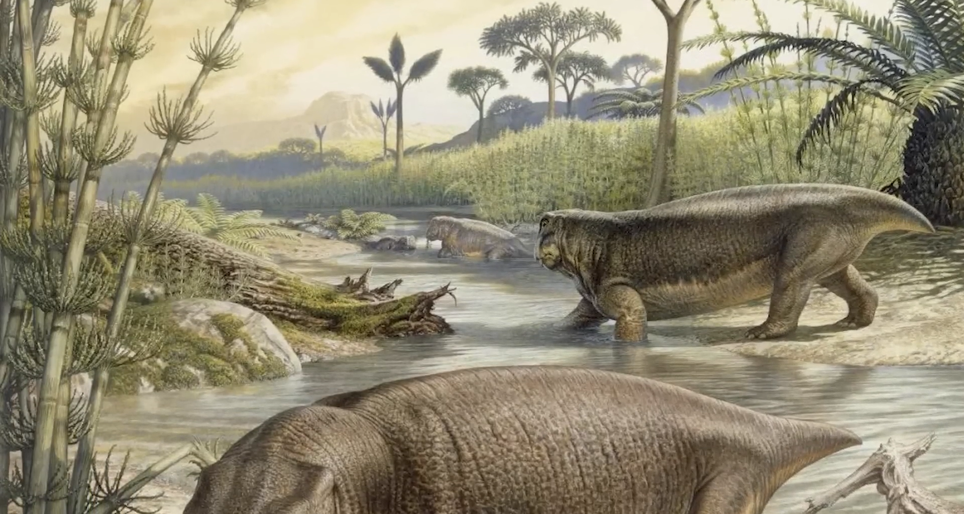 ביצית מאובנת בת 250 מיליון שנה מפתיעה: ביצת זוחל ליסטראוסרוס מוכיחה את אבות החולייתנים שהניחו ביצים