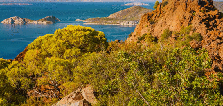 בתוך מחזור ההצטברות של מגמה של 100,000 שנה בהר הות'נה: סודות הזירקון חושפים את התהליך המרתק