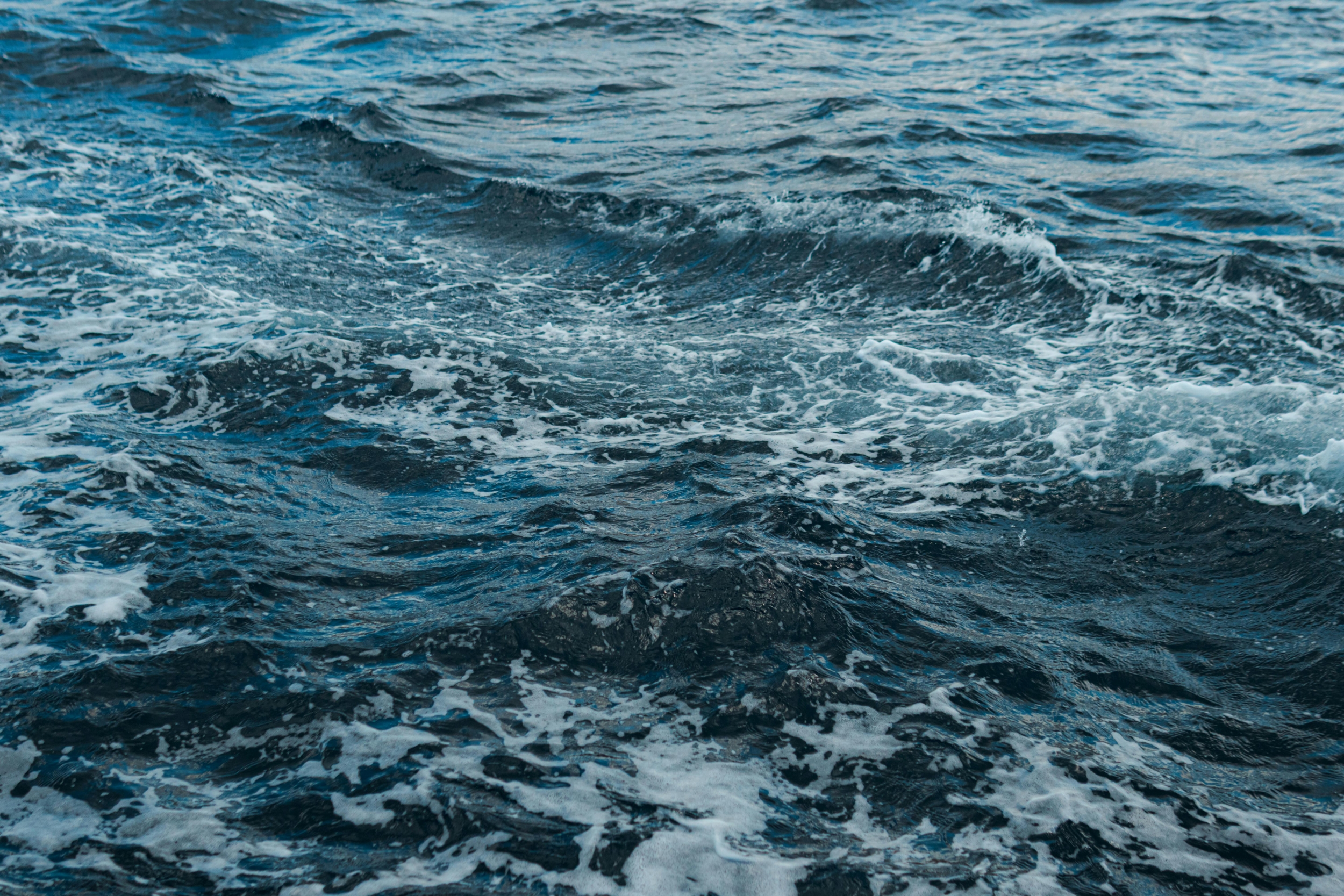 ההישג של GOFLOW AI: חשיפת הזרמים התת-ימיים הסודיים שמעולם לא נראו קודם בישראל