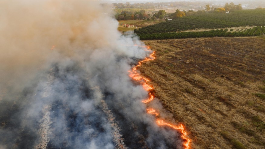 השפעת שינויי אקלים על ייבוש, הארכת עונת השריפות, משבר במים והתרחבות אזורי המדבר בישראל