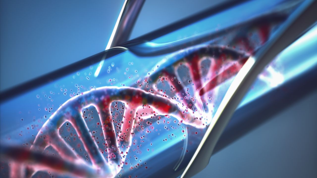 אנזים E. coli קורא את אלפבית ה-DNA הכולל שמונה אותיות—אך רק במבחנה